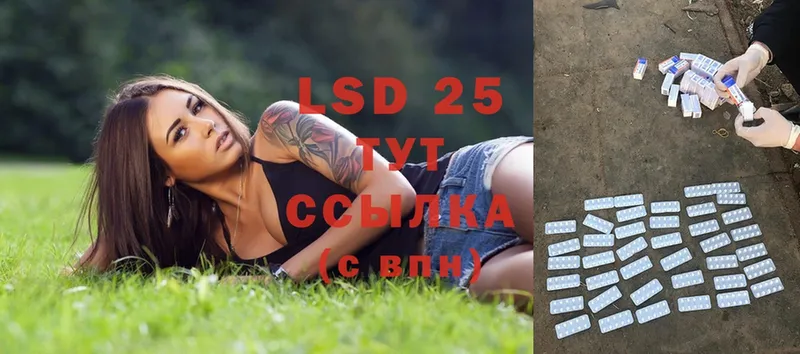 гидра ссылки  Апатиты  LSD-25 экстази ecstasy 