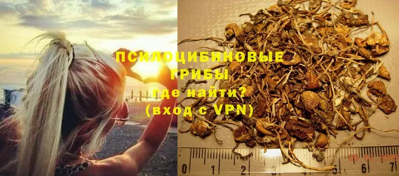 наркота  Апатиты  нарко площадка телеграм  Псилоцибиновые грибы Psilocybe  hydra  